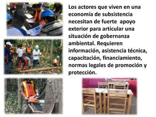 Moving targets: Challenges and opportunities for sustainability in “frontier” landscapes