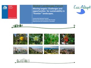 Moving targets: Challenges and opportunities for sustainability in “frontier” landscapes