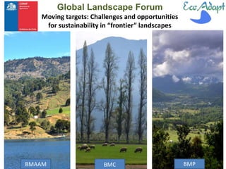 Moving targets: Challenges and opportunities for sustainability in “frontier” landscapes