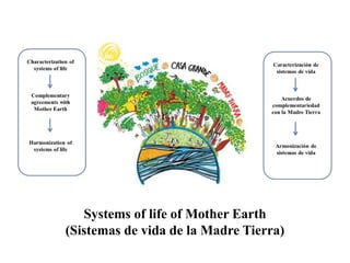 Moving targets: Challenges and opportunities for sustainability in “frontier” landscapes
