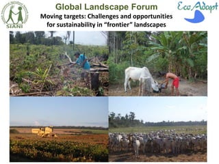 Moving targets: Challenges and opportunities for sustainability in “frontier” landscapes