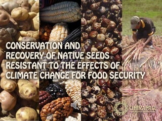 Conservation and Recovery of Native Seeds resistant to the Effects of Climate Change for Food Security