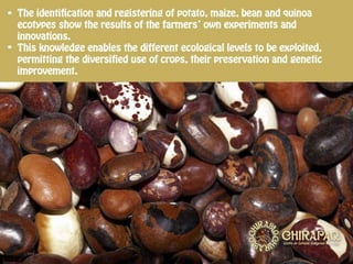 Conservation and Recovery of Native Seeds resistant to the Effects of Climate Change for Food Security