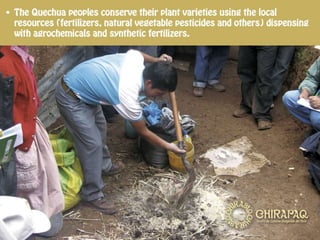 Conservation and Recovery of Native Seeds resistant to the Effects of Climate Change for Food Security