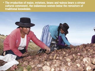 Conservation and Recovery of Native Seeds resistant to the Effects of Climate Change for Food Security