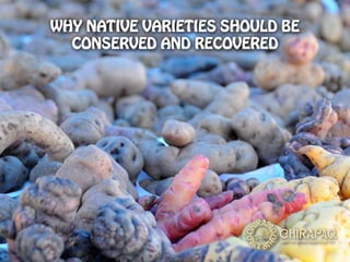 Conservation and Recovery of Native Seeds resistant to the Effects of Climate Change for Food Security