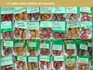 Conservation and Recovery of Native Seeds resistant to the Effects of Climate Change for Food Security