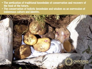 Conservation and Recovery of Native Seeds resistant to the Effects of Climate Change for Food Security