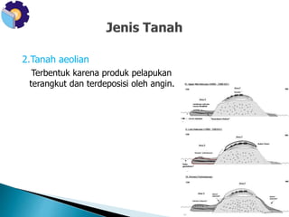 2.Tanah aeolian 
Terbentuk karena produk pelapukan 
terangkut dan terdeposisi oleh angin. 
 