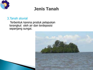 3.Tanah aluvial 
Terbentuk karena produk pelapukan 
terangkut oleh air dan terdeposisi 
sepanjang sungai. 
 