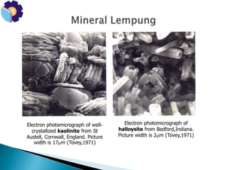 Electron photomicrograph of well-crystallized 
kaolinite from St 
Austell, Cornwall, England. Picture 
width is 17m (Tovey,1971) 
Electron photomicrograph of 
halloysite from Bedford,Indiana. 
Picture width is 2m (Tovey,1971) 
 