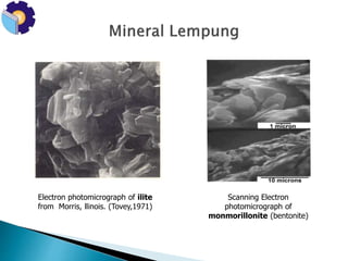 Scanning Electron 
photomicrograph of 
monmorillonite (bentonite) 
Electron photomicrograph of ilite 
from Morris, llinois. (Tovey,1971) 
 
