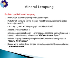 Perilaku partikel tanah lempung 
 Permukaan butiran lempung bermuatan negatif. 
 Pada tanah lempung kering muatan negatif tersebut diimbangi cation 
bermuatan positif : 
Ca++, Mg++, Na+, K+ dengan gaya tarik elektrostatik. 
 Apabila air ditambahkan : 
cation dengan sedikit anion  mengapung sekeliling butiran lempung  
Lapisan cation tersebut dinamakan “diffuse double layer” 
 Partikel air yang melekat pada permukaan partikel lempung disebut 
“double layer water” 
 Bagian yang paling dekat dengan permukaan partikel lempung disebut 
“adsorbed water” 
 