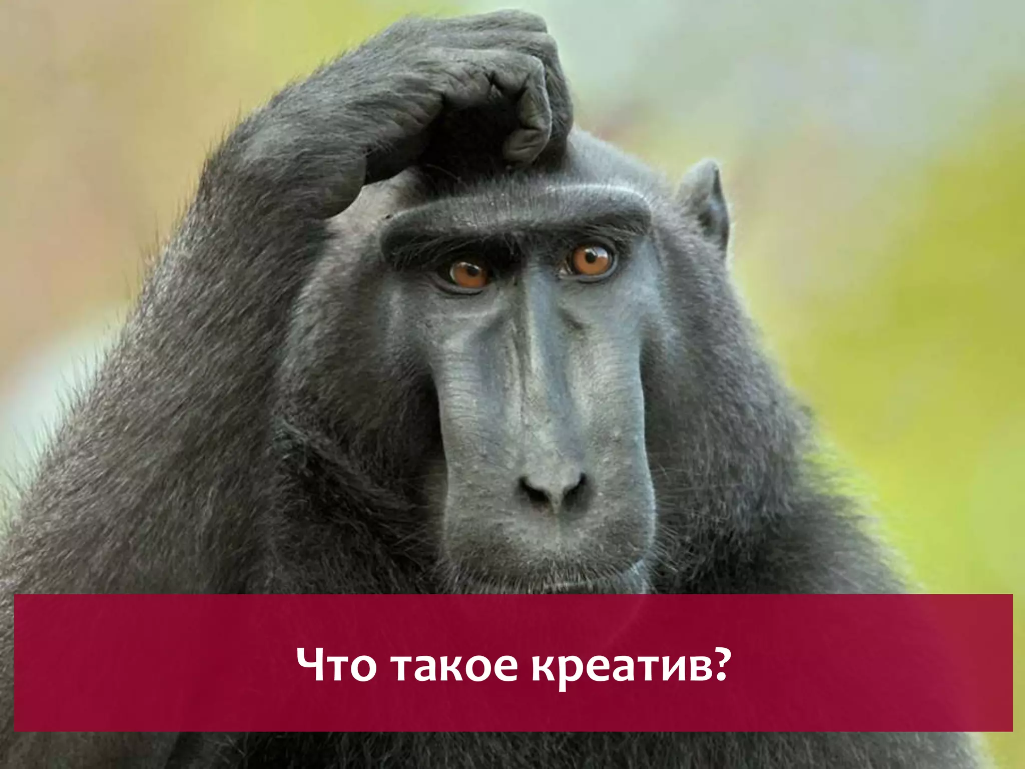 Что такое креатив? 
 