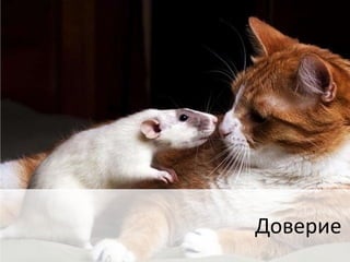 Доверие 
 