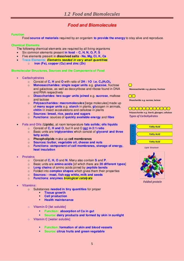 1.2 food and biomolecules