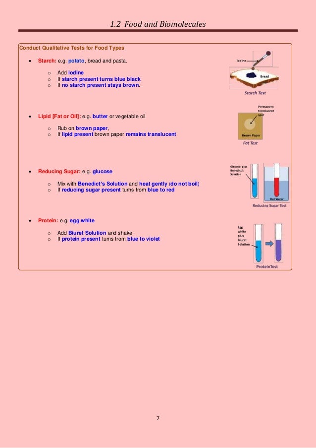 1.2 food and biomolecules