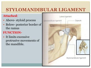 Styloid Function TEMPOROMANDIBULAR JOINT | PPTX