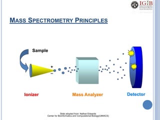 MASS SPECTROMETRY PRINCIPLES
Ionizer
Sample
+
_
Mass Analyzer Detector
Slide adopted from: Nathan Edwards
Center for Bioinformatics and Computational Biology(UMIACS)
 