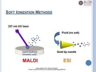 SOFT IONIZATION METHODS
337 nm UV laser
MALDI
cyano-hydroxy
cinnamic acid
Gold tip needle
Fluid (no salt)
ESI
+
_
Slide adopted from: Nathan Edwards
Center for Bioinformatics and Computational Biology(UMIACS)
 