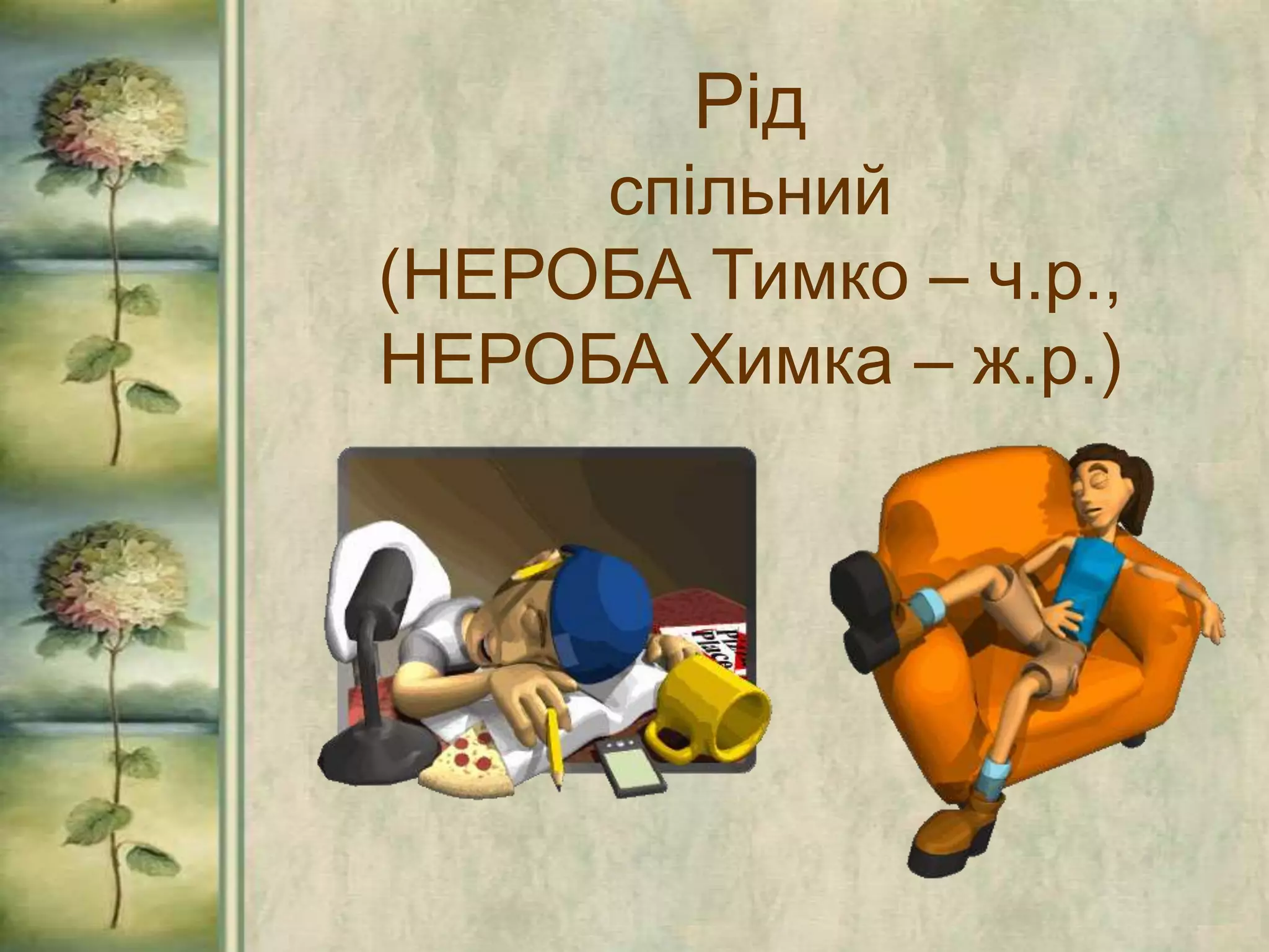 Рід
спільний
(НЕРОБА Тимко – ч.р.,
НЕРОБА Химка – ж.р.)
 