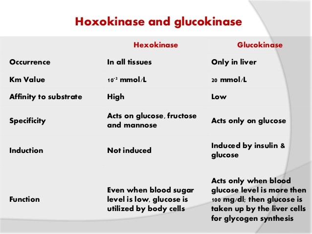 HEXOKINASE REGULATION EPUB HEXOKINASE REGULATION EPUB