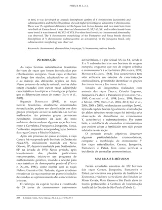 B. Indústr. Anim., Nova Odessa,v.71, n.4, p.332-340, 2014
PIRES, R. M. L. et al.
333
or beef, it was developed by animals dimorphism carriers of Y chromosome (acrocentric and
submetacentric), and the beef bloodlines showed higher percentage of acrocentric Y chromosome.
There was 1% significant difference in Chi-Square test. In two females and two male born from
twin birth of Caracu breed it was observed chemerism 60, XX/ 60, XY, and in other female from
same breed it was observed 60, XX/ 61 XXY. For other three breeds, no chromosomal abnormality
was observed. The Y chromosome morphology of the Pantaneiro and Patua breeds showed
dimorphism of Y chromosome (submetacentric an acrocentric). In the Junqueira breed, only
submetacentric morphology was observed.
Keywords: chromosomal abnormalities, karyotype, Y chromosome, natives breeds.
INTRODUÇÃO
As raças bovinas naturalizadas brasileiras
derivam de raças que foram introduzidas por
colonizadores europeus. Essas raças evoluíram
ao longo dos séculos, adaptando-se ao clima
e ao manejo das diferentes regiões do País.
Nesse processo de seleção natural, muitas delas
foram cruzadas com outras raças adquirindo
características fenotípicas e fisiológicas próprias
que as diferenciam umas de outras (Egito et al.,
2002).
Segundo Domingues (1961), as raças
nativas brasileiras, atualmente denominadas
naturalizadas, podem ser classificadas em dois
grupos principais: as nativas naturais e as nativas
melhoradas. Ao primeiro grupo, pertencem
populações resultantes da ação do meio
ambiente, destacando-se algumas raças bovinas,
como a Curraleira, Franqueira, Junqueira, Patuá,
Pantaneira, enquanto, ao segundo grupo, bovinos
das raças Caracu e Mocho Nacional.
Após um processo de quase extinção, a raça
Caracu foi recuperada pelo Instituto de Zootecnia
(SAA-SP), inicialmente mantida em Nova
Odessa, SP, depois transferida para Sertãozinho,
SP, na década de 1970. Nesse período, após
levantamento dos planteis particulares
remanescentes, iniciou-se um programa de
melhoramento genético, visando a seleção para
características de desempenho ponderal (Trovo
e Duarte, 1981), como ocorria com as raças
Nelore, Guzerá e Gir. Todavia, alguns criadores
entusiastas da raça mantiveram planteis isolados
destinados ao aprimoramento das características
leiteiras.
O cariótipo da espécie bovina é constituído
de 29 pares de cromossomos autossomos
acrocêntricos, e o par sexual XX ou XY, sendo o
X e Y submetacêntricos nos bovinos de origem
europeia, enquanto que nos de origem zebuína
o cromossomo Y é acrocêntrico (Melander, 1959;
Monsieur-Cambon, 1964). Esta característica tem
sido utilizada em estudos de caracterização
cromossômica, permitindo identificar os grupos
Bos taurus taurus e Bos taurus indicus.
Estudos de citogenética realizados com
animais das raças Caracu, Crioulo Lageano,
Junqueira, Pé-duro e Pantaneiro (Tambasco et al.,
1985; Carvalho et al., 1994; Jorge, 1994; Britto
e Mello, 1999; Pires et al., 2004, 2011; Issa et al.,
2006, 2008 e 2009), evidenciaram cariótipo 2n=60,
típico da espécie bovina. Igualmente, a introdução
de alelos zebuínos nessas raças foi inferida pela
observação de dimorfismo no cromossomo
Y, acrocêntrico e submetacêntrico. Por outro
lado, a incidência de anomalias cromossômicas
que podem afetar a fertilidade tem sido pouco
relatada nessas raças.
O presente estudo objetivou descrever
algumas particularidades cromossômicas,
comparar a morfologia do cromossomo Y
das raças naturalizadas, Caracu, Junqueira,
Pantaneiro e Patuá, bem como verificar a
incidência de anomalias cromossômicas.
MATERIAIS E MÉTODOS
Foram estudadas amostras de 332 bovinos
das raças Caracu, Junqueira, Pantaneira e
Patuá, pertencentes aos plantéis do Instituto de
Zootecnia, criadores particulares dos Estados de
Minas Gerais, Mato Grosso e São Paulo além de
touros pertencentes a Centrais de Inseminação
Artificial do Estado de São Paulo (Tabela 1).
 