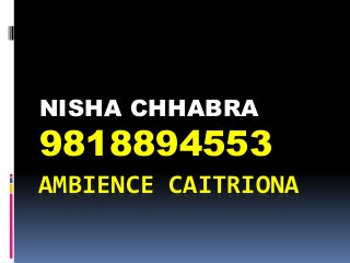 AMBIENCE CAITRIONA
NISHA CHHABRA
9818894553
 