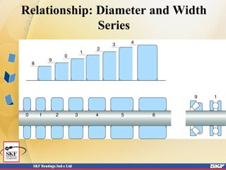 Relationship: Diameter and Width
Series
 
