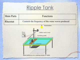 Ripple Tank
Main Parts Functions
Rheostat Controls the frequency of the water waves produced
 