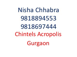 Nisha Chhabra
9818894553
9818697444
Chintels Acropolis
Gurgaon
 