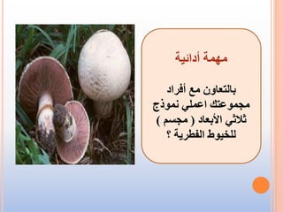 ‫أدائية‬ ‫مهمة‬
‫أفراد‬ ‫مع‬ ‫بالتعاون‬
‫نموذج‬ ‫اعملي‬ ‫مجموعتك‬
‫األبعاد‬ ‫ثالثي‬(‫مجسم‬)
‫؟‬ ‫الفطرية‬ ‫للخيوط‬
 