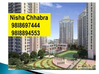 ambience creacions new launch