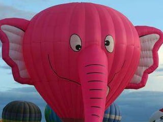 Rosa elefant
 