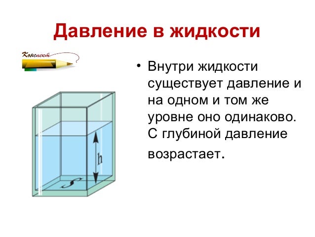 Гидростатическое давление 7 класс физика задачи