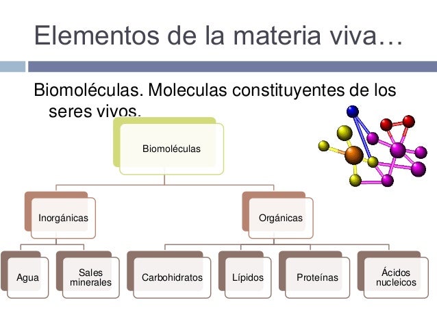Cuales Son Los Elementos Que Forman La Materia Viva