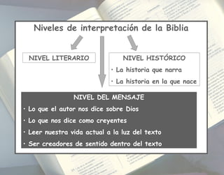 Niveles de interpretación de la Biblia
NIVEL LITERARIO NIVEL HISTÓRICO
• La historia que narra
• La historia en la que nace
NIVEL DEL MENSAJE
• Lo que el autor nos dice sobre Dios
• Lo que nos dice como creyentes
• Leer nuestra vida actual a la luz del texto
• Ser creadores de sentido dentro del texto
 