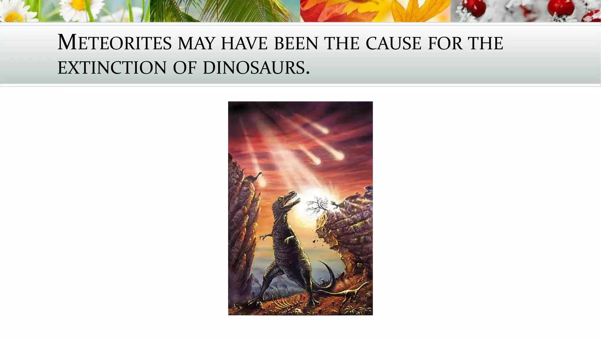 METEORITES MAY HAVE BEEN THE CAUSE FOR THE
EXTINCTION OF DINOSAURS.
 