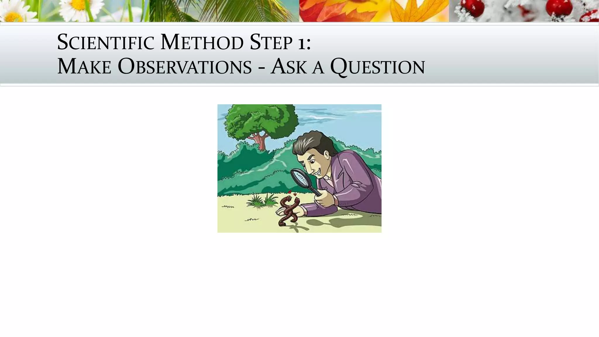 SCIENTIFIC METHOD STEP 1:
MAKE OBSERVATIONS - ASK A QUESTION
 