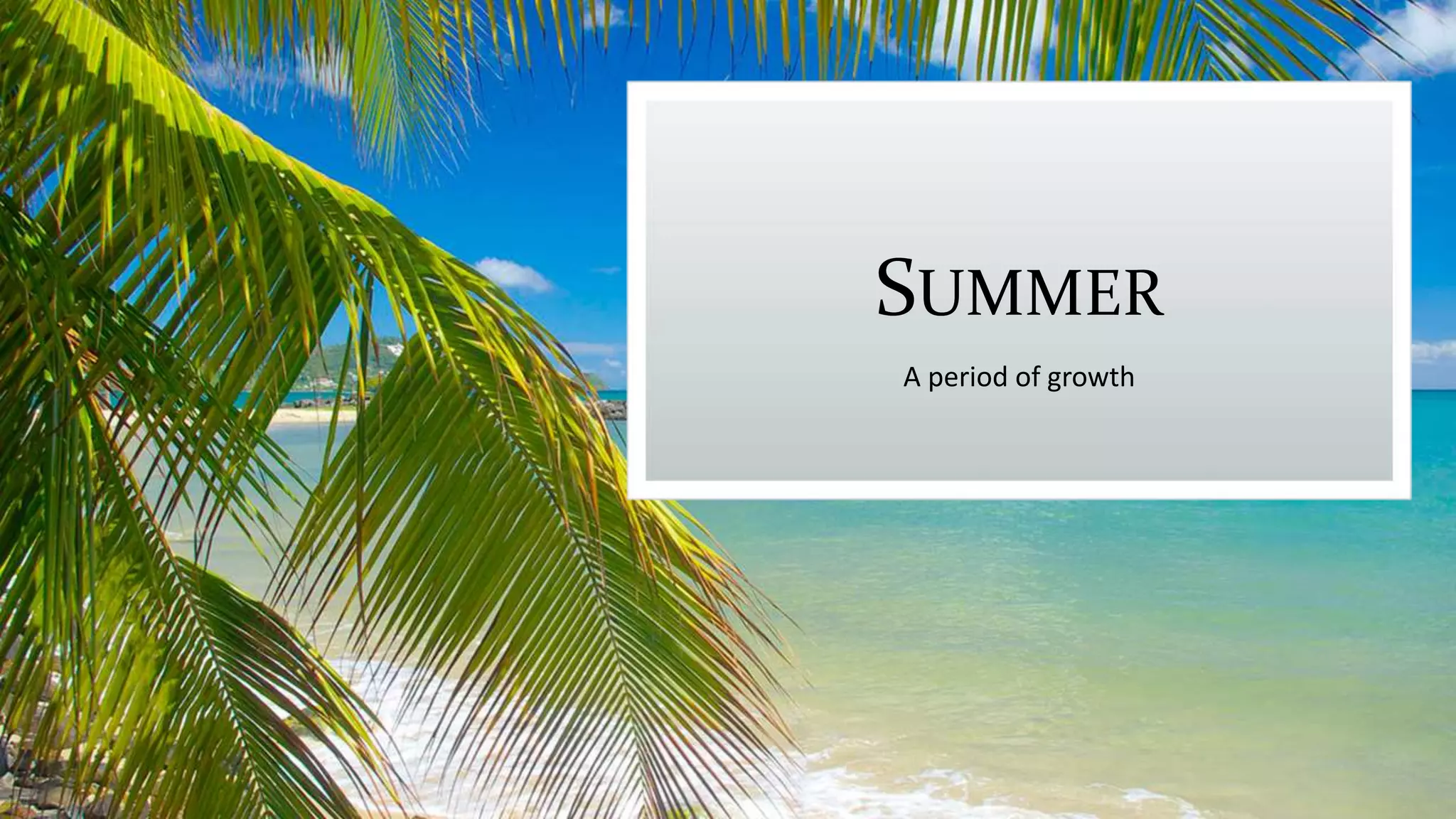 SUMMER
A period of growth
 