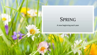 SPRING
A new beginning each year
 