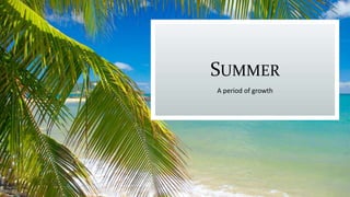 SUMMER
A period of growth
 