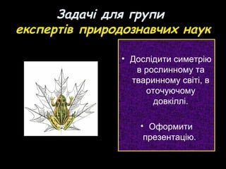 Задачі для групи
експертів природознавчих наук
• Дослідити симетрію
в рослинному та
тваринному світі, в
оточуючому
довкіллі.
• Оформити
презентацію.
 