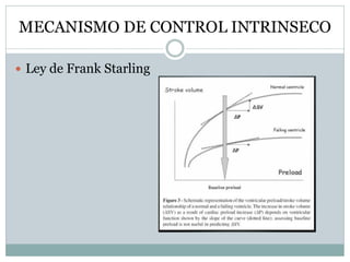 MECANISMO DE CONTROL INTRINSECO
 Ley de Frank Starling
 