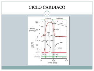 CICLO CARDIACO
 