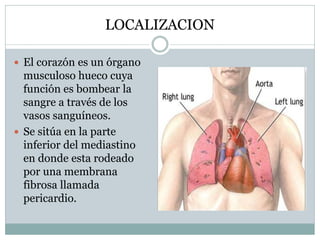 LOCALIZACION
 El corazón es un órgano
musculoso hueco cuya
función es bombear la
sangre a través de los
vasos sanguíneos.
 Se sitúa en la parte
inferior del mediastino
en donde esta rodeado
por una membrana
fibrosa llamada
pericardio.
 