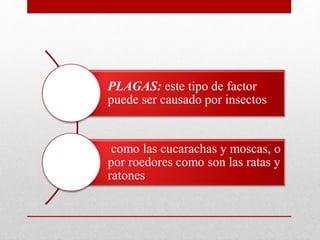 PLAGAS: este tipo de factor
puede ser causado por insectos
como las cucarachas y moscas, o
por roedores como son las ratas y
ratones
 