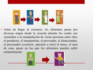 • Antes de llegar al consumo, los alimentos pasan por
diversas etapas desde la cosecha durante los cuales son
sometidos a la manipulación de varias personas entre ellos
el productor, el transportista, el proveedor, el almacenador,
el procesador (cocinero, operario u otro) el mozo, el ama
de casa, pasos en los que los alimentos pueden sufrir
contaminación
 