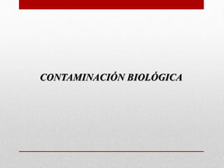 CONTAMINACIÓN BIOLÓGICA
 