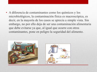 • A diferencia de contaminantes como los químicos y los
microbiológicos, la contaminación física es macroscópica, es
decir, en la mayoría de los casos se aprecia a simple vista. Sin
embargo, no por ello deja de ser una contaminación alimentaria
que debe evitarse ya que, al igual que ocurre con otros
contaminantes, pone en peligro la seguridad del alimento.
 